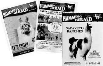 examples of 3 issues of the Humming Herald