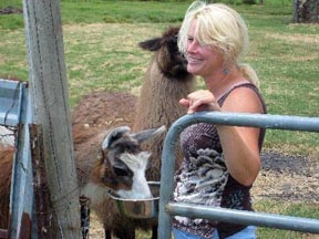Angie Gaines with llamas
