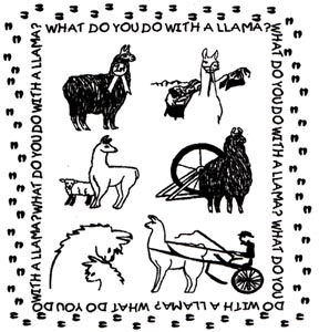 What Do You Do with a Llama logo